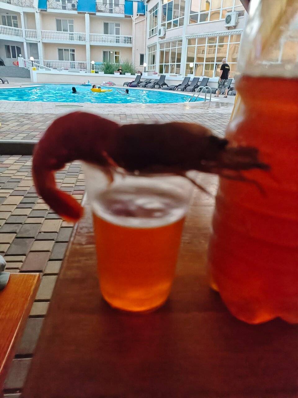 Фото Гостиницы Юлиана Евпатория 70