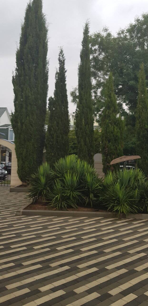 Фото Гостиницы Юлиана Евпатория 14