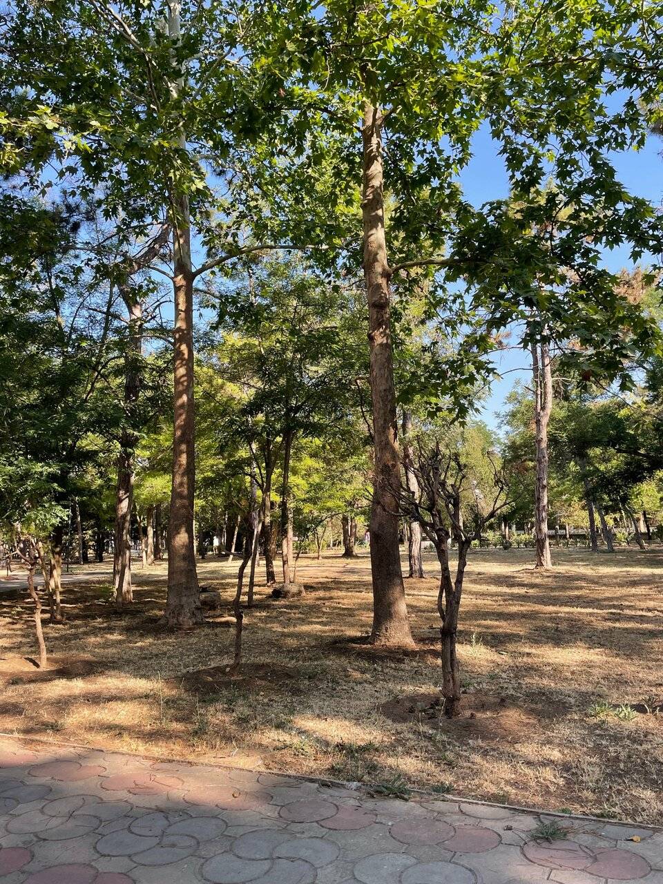 Фото Гостиницы Юлиана Евпатория 57