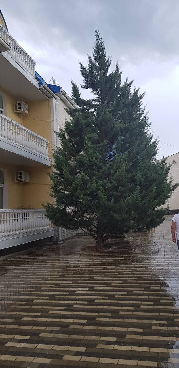 Фото Гостиницы Юлиана Евпатория 34